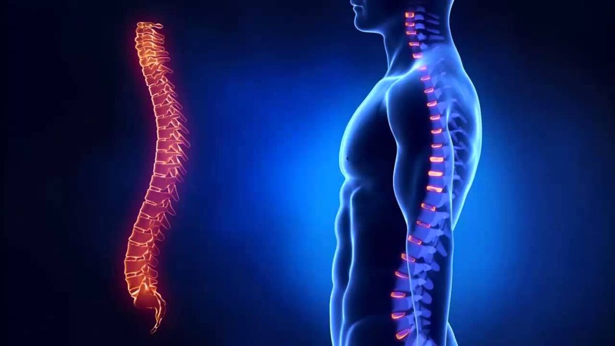 Osteohondrozi klasificē pēc mugurkaula daļām, kurās slimība attīstās.